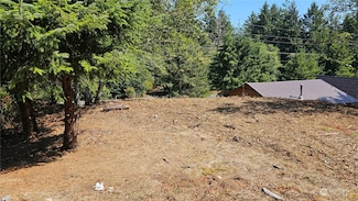 243 XXX Sandridge Rd, Ocean Park, WA 98640