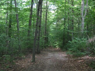 00 Ferguson Rd, Dryden, NY 13053