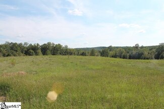 00 Traynham Rd Unit TRACT A/B, Honea Path, SC 29654