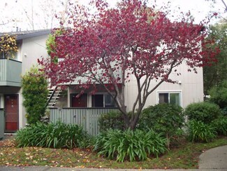 402 Boardwalk Ave Unit 1, San Bruno, CA 94066