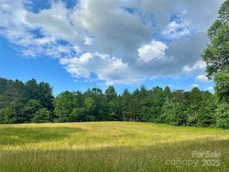 99999 Jenkins Valley Rd, Alexander, NC 28701