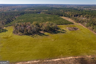 0 Brown Hill Rd Unit 10418663, Elko, GA 31025