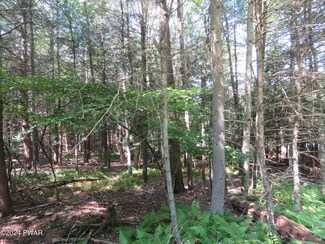 42 Melissa Ln, Blooming Grove Township, PA 18428