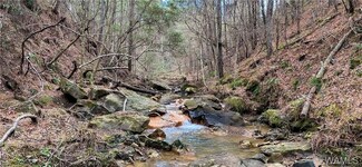 12572 Port Mayfield Rd, Tuscaloosa, AL 35406