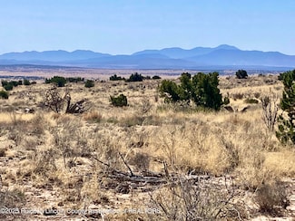 Lot 207 Tin Cup Rd, Ancho, NM 88301
