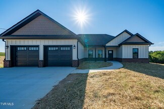 1317 Bowmantown Rd, Limestone, TN 37681