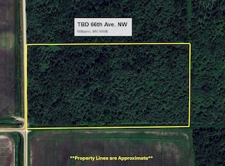 TBD 66th Ave NW, Williams, MN 56686