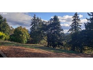 284 Edgeview Dr, Elkton, OR 97436