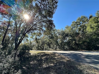 TBD NE 152 Terrace, Williston Highlands, FL 32696