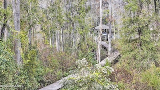 1197 Cunningham Creek Dr, Saint Johns, FL 32259