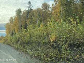 21312 W Bow Tie Loop, Willow, AK 99688