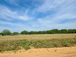 0 H Merritt Road - Parcel D, Slocomb, AL 36375