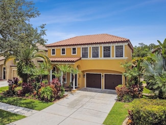 20349 Chestnut Grove Dr, Tampa, FL 33647