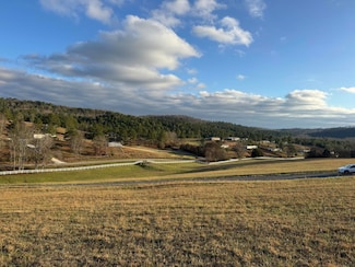 lot 66 the Gates Dr, Decatur, TN 37322