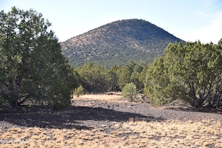 2067 E Spruce St Unit 95, Red Lake Estates, AZ 86046