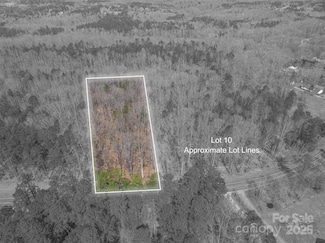 00 Forney Hill Rd Unit 10, Denver, NC 28037