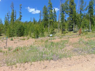 Nhn Covellite Ln Unit Lot 9, Anaconda, MT 59711