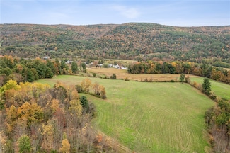 171 W Kill Rd, Jefferson, NY 12093