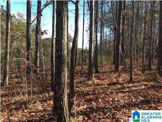54 Bells Ln Unit 54, Vincent, AL 35178