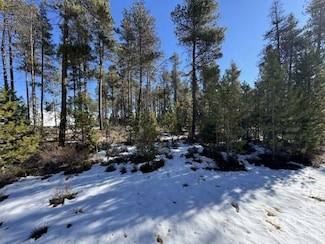 0 Deacon Unit Lot 3 3007389, Chiloquin, OR 97624
