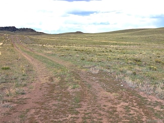 217 Black Gatto Trail, Hartsel, CO 80449