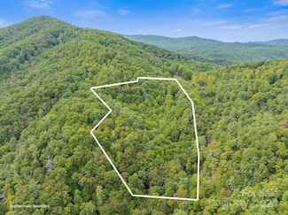 1218 Loth Lorien Ln, Marshall, NC 28753