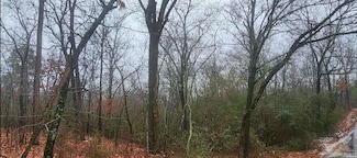 00 Halk Terrace, Hot Springs, AR 71901