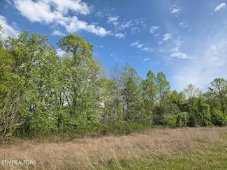 34 Crystal Springs Rd, Rockwood, TN 37854