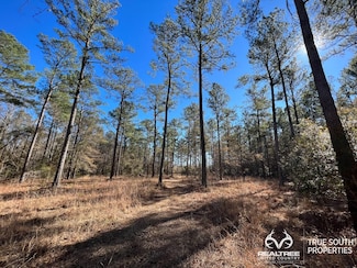 101 Phillips Rd, Walterboro, SC 29488