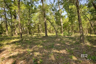 0 Cary Ln Unit 3 378542, Fairhope, AL 36532