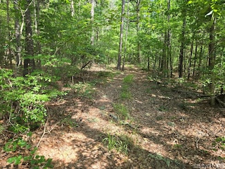 TBD Hwy 903, Littleton, NC 27850