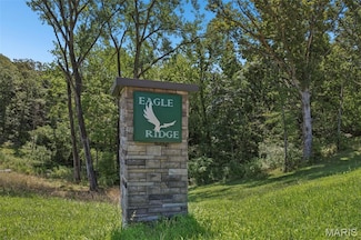 21 Lake Pointe Ln, Litchfield, IL 62056