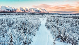 Mile 73.5 Richardson Hwy, Chitina, AK 99566