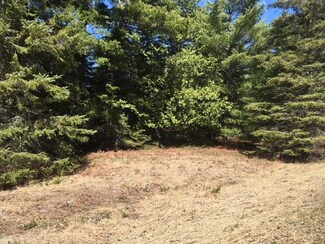 3844 Pointe Dr, Carp Lake, MI 49718