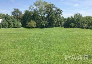 0 W Chippe Dr, Princeville, IL 61559