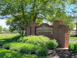 20137 White Tail Ct, Elwood, IL 60421