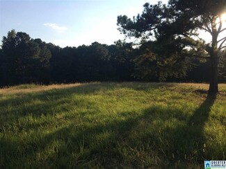 17999 Groundhog Rd Unit 40, Adger, AL 35006