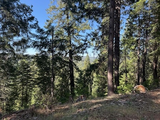 28087 Rolling Hills Rd, Pioneer, CA 95666