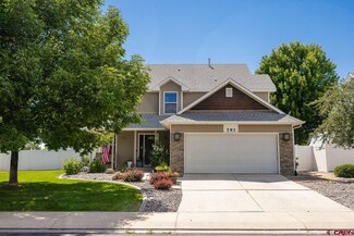 793 Albany St, Delta, CO 81416