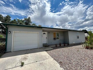 2689 Maya Way, Montrose, CO 81401