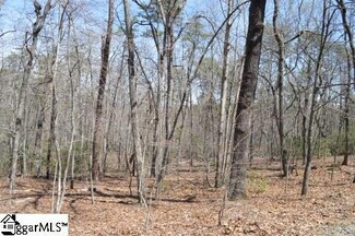 0 Fox Run Ln, Tryon, NC 28782