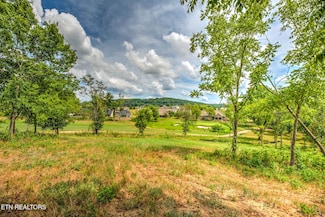 987 Mockingbird Ln, Loudon, TN 37774