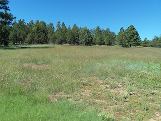 344 Forest Road 83, Pecos, NM 87552
