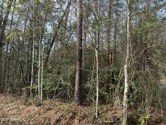 1082 Koloa Ct, Diamondhead, MS 39525