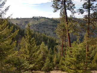 0 Divide Ln Unit 20406576, Joseph, OR 97846