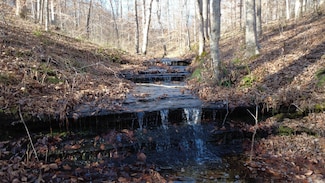 314 Burns Hollow Rd, Waynesboro, TN 38485