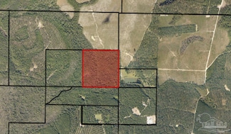 00500 Wayne Bowman Rd, Jay, FL 32565
