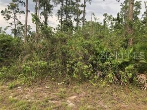 00 SW 135 St, Ocala, FL 34473