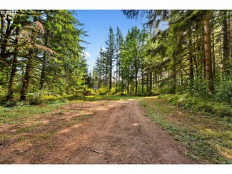 0000 SE 40th St, Washougal, WA 98671