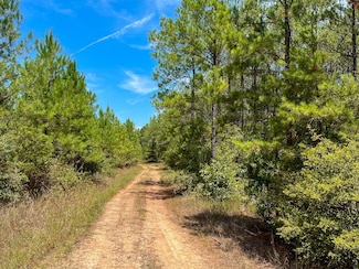 0 Lost Indian Camp Rd Unit 20141116, Huntsville, TX 77320